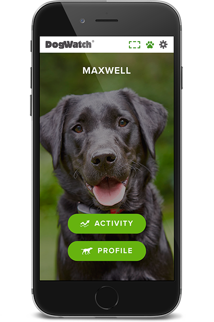 DogWatch of Augusta-Aiken, Thomson, Georgia | SmartFence WebApp Image