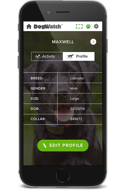 DogWatch of Augusta-Aiken, Thomson, Georgia | SmartFence WebApp Image